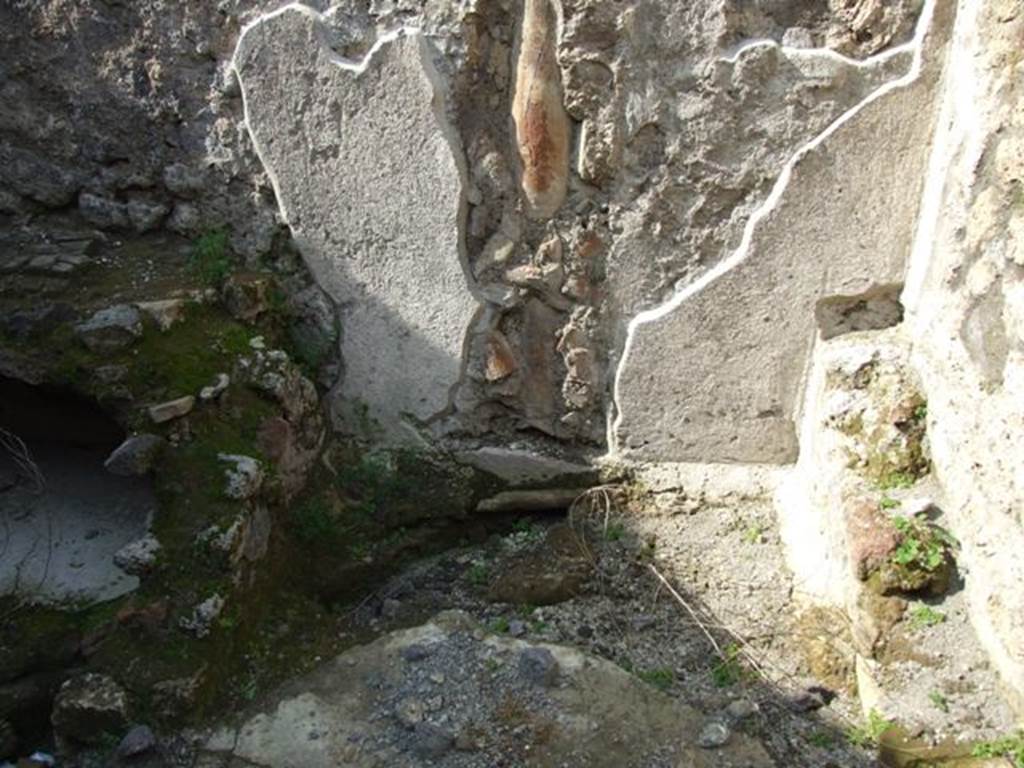 IX.3.5 Pompeii. March 2009. Room 9, kitchen. North-east corner with downpipe from upper floor.