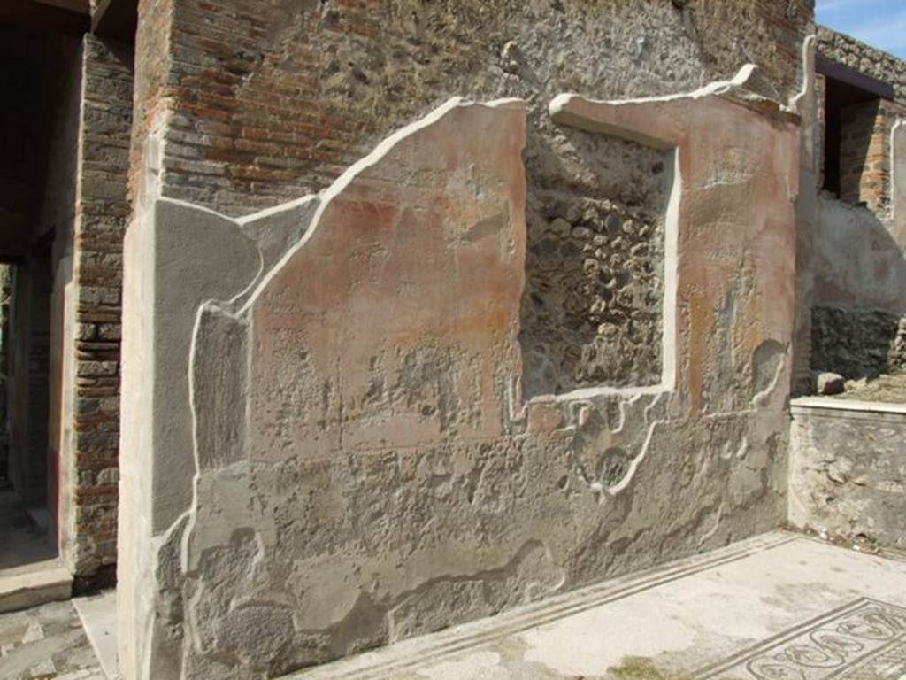 IX.3.5 Pompeii. March 2009. Room 12. Tablinum. North wall.