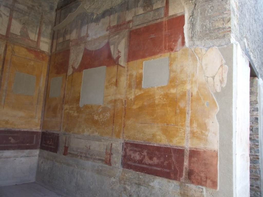 IX.3.5 Pompeii. March 2009. Room 13, ala, west wall.