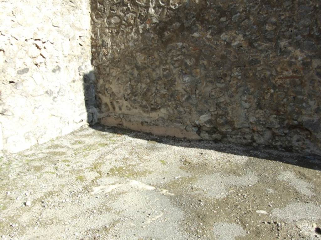 IX.3.6 Pompeii.  March 2009.  Floor in south east corner.