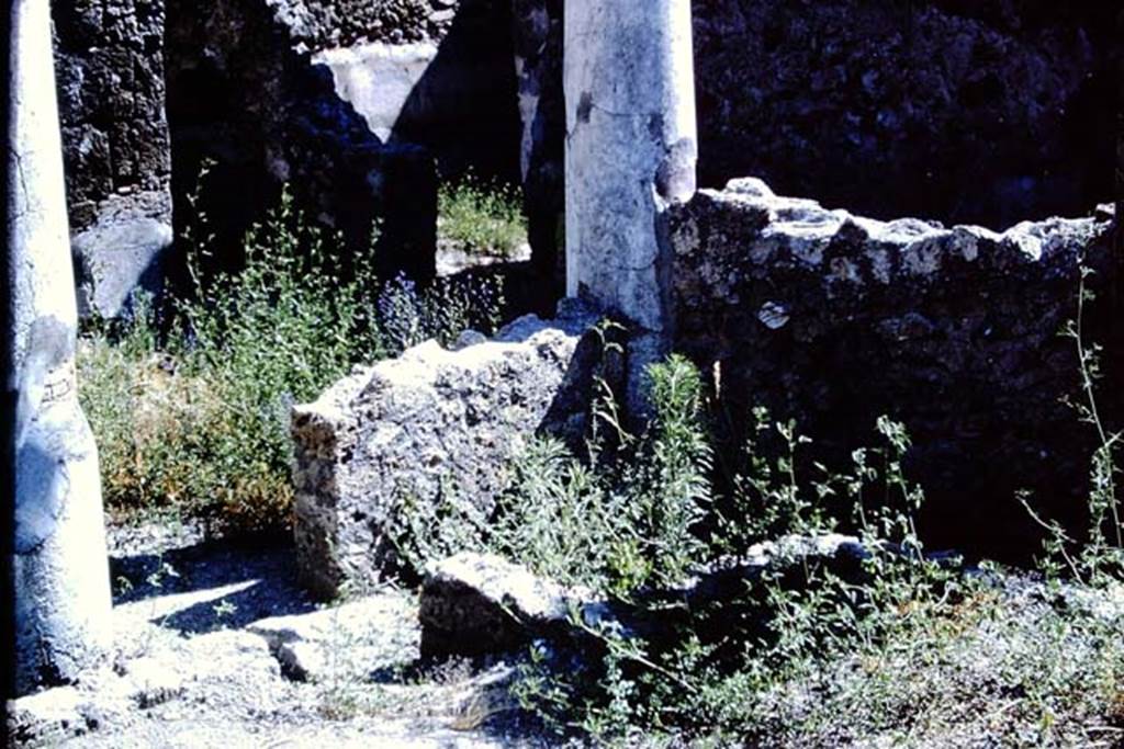 IX.3.15 Pompeii. 1966. Room 12, looking towards south-west corner of garden area and doorway onto south portico. Photo by Stanley A. Jashemski.
Source: The Wilhelmina and Stanley A. Jashemski archive in the University of Maryland Library, Special Collections (See collection page) and made available under the Creative Commons Attribution-Non Commercial License v.4. See Licence and use details.
J66f0376