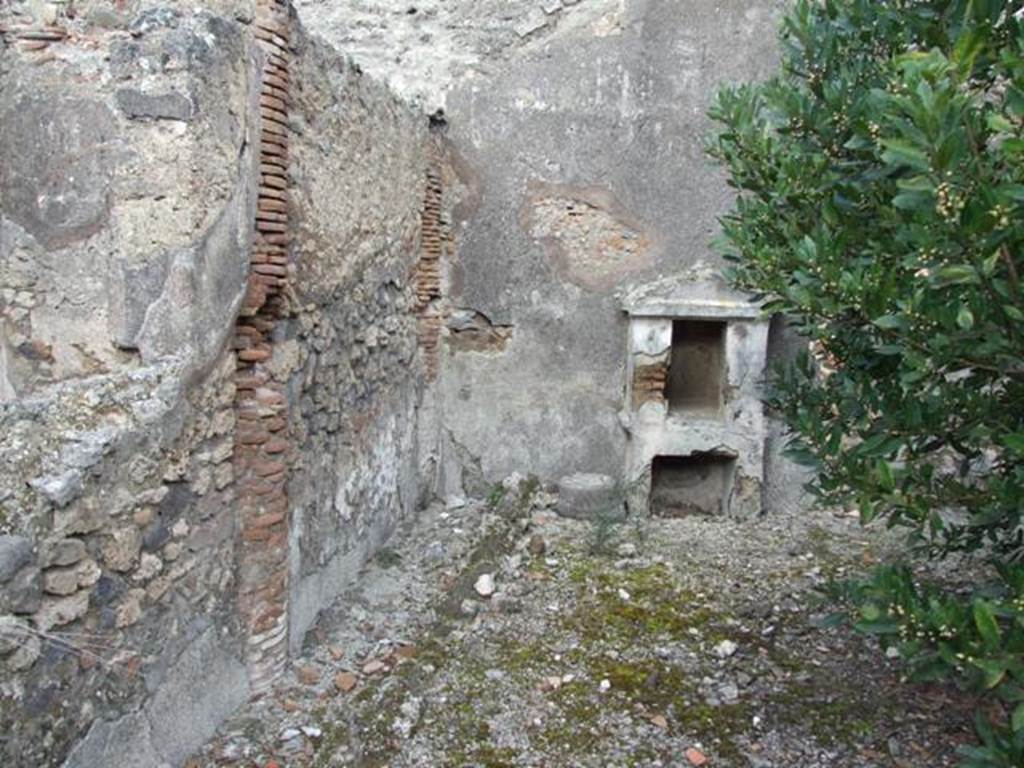 IX.3.15 Pompeii. March 2009. Room 12. Garden area. East wall.