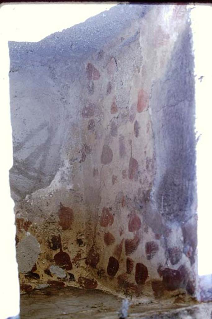 IX.3.15 Pompeii. 1966. Room 12. South side of niche of lararium decorated inside with red paintings. Photo by Stanley A. Jashemski.
Source: The Wilhelmina and Stanley A. Jashemski archive in the University of Maryland Library, Special Collections (See collection page) and made available under the Creative Commons Attribution-Non Commercial License v.4. See Licence and use details.
J66f0375
