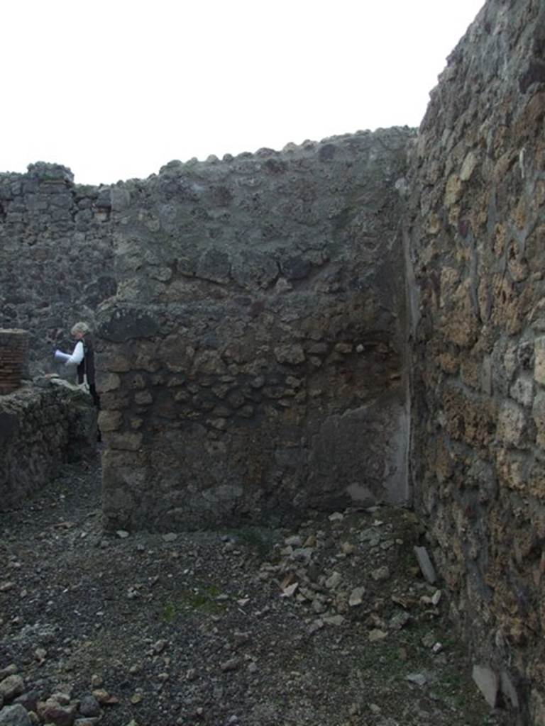 IX.3.15 Pompeii. March 2009. Room 14. Triclinium. West wall.