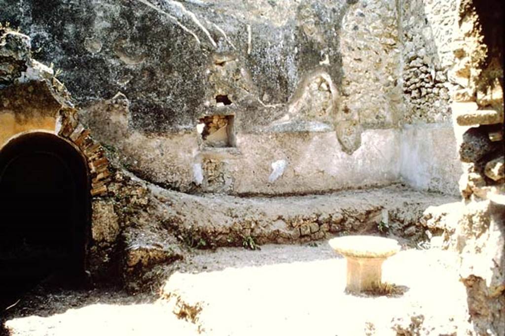 IX.3.20 Pompeii. 1964. Room 8, west wall of garden area. Photo by Stanley A. Jashemski.
Source: The Wilhelmina and Stanley A. Jashemski archive in the University of Maryland Library, Special Collections (See collection page) and made available under the Creative Commons Attribution-Non Commercial License v.4. See Licence and use details.
J64f1637