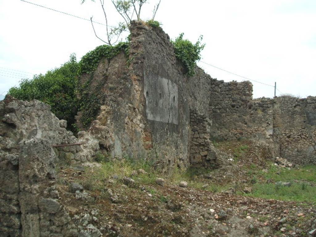 IX.3.21 Pompeii. May 2005. South wall.