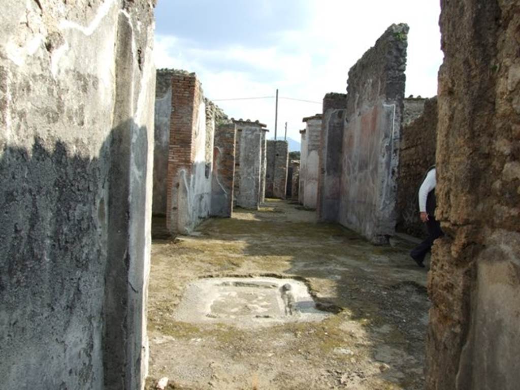 IX.3.24 Pompeii. March 2009. Looking south from fauces, across secondary atrium, to rear of IX.3.5