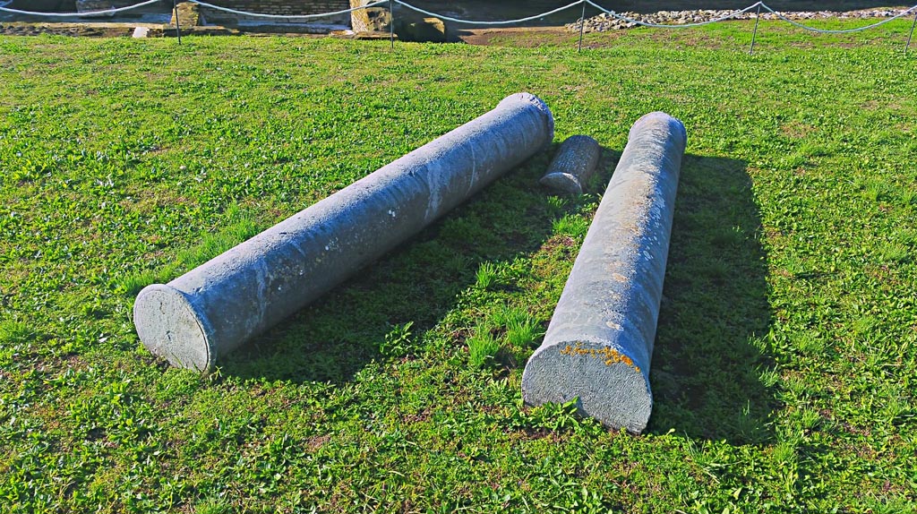 IX.4.18 Pompeii. December 2019. Palaestra “d”, with columns laying on the ground. Photo courtesy of Giuseppe Ciaramella.