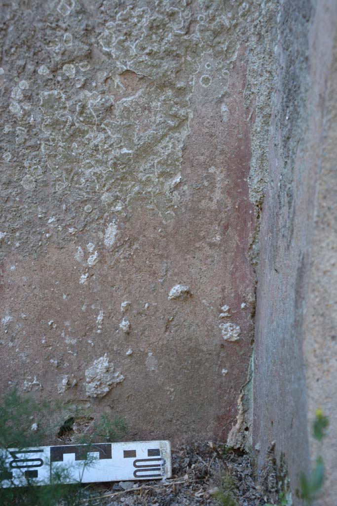 IX.5.1 Pompeii. May 2017. Detail from lower south wall in south-west corner.
Foto Christian Beck, ERC Grant 681269 DÉCOR.