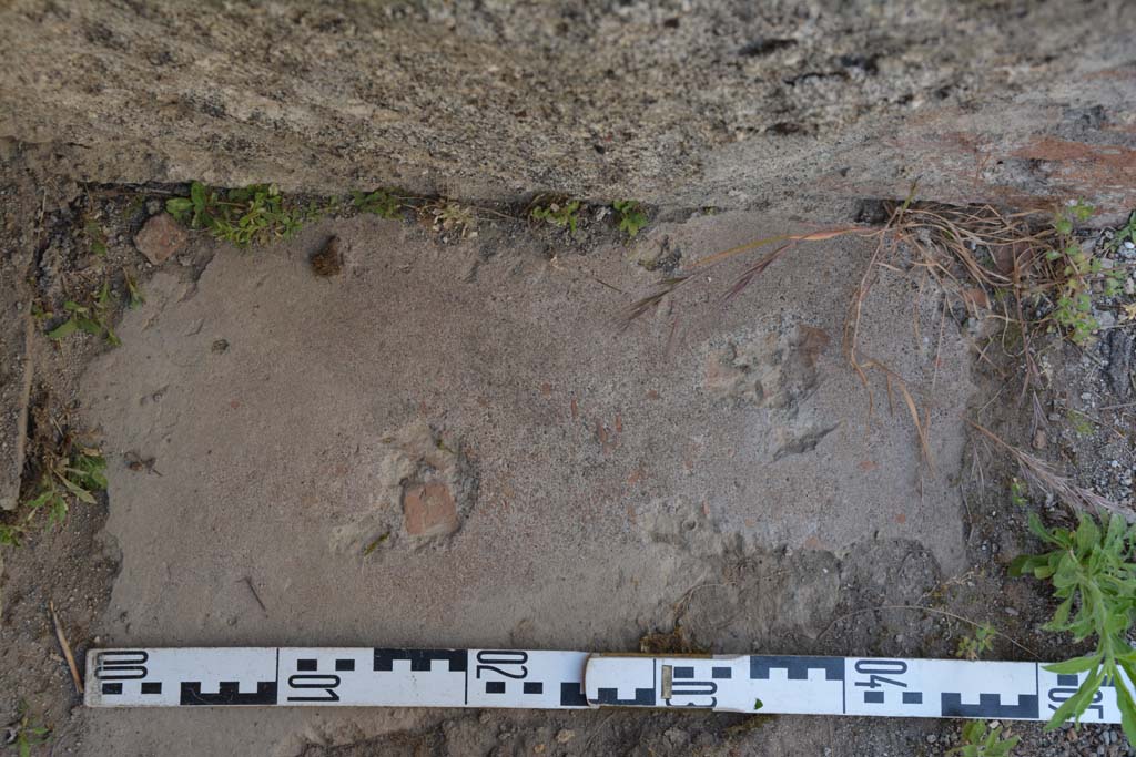 IX.5.2 Pompeii. May 2017. Room ‘L’, detail of flooring at north end of west side, looking north.
Foto Christian Beck, ERC Grant 681269 DÉCOR.