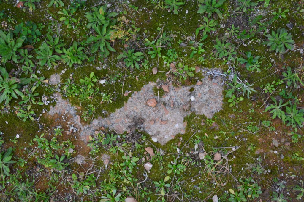 IX.5.2 Pompeii. March 2017. Room ‘L’, flooring.
Foto Christian Beck, ERC Grant 681269 DÉCOR.