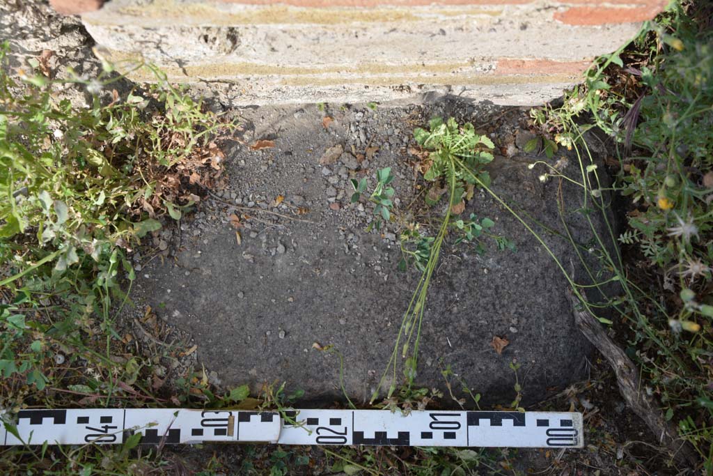 IX.5.2 Pompeii. May 2017. Room ‘L’, detail from doorway threshold near east wall at south end of tablinum.
Foto Christian Beck, ERC Grant 681269 DÉCOR.