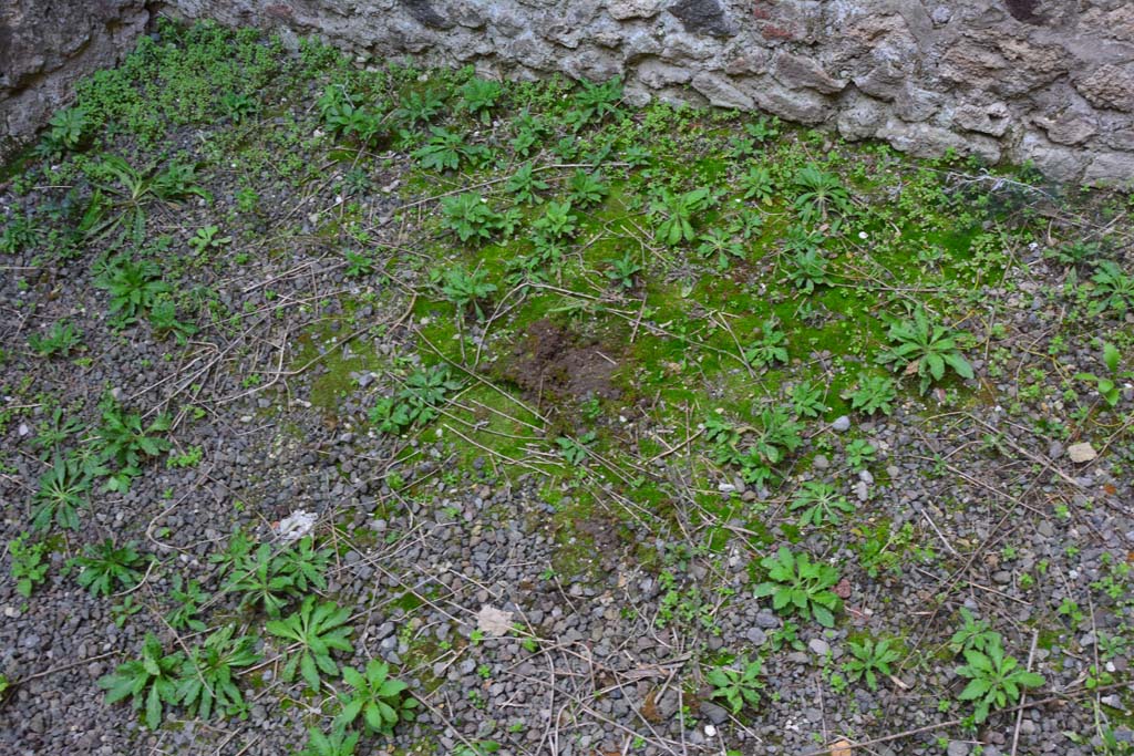 IX.5.2 Pompeii. March 2017. Room �n�, flooring.
Foto Christian Beck, ERC Grant 681269 D�COR.
