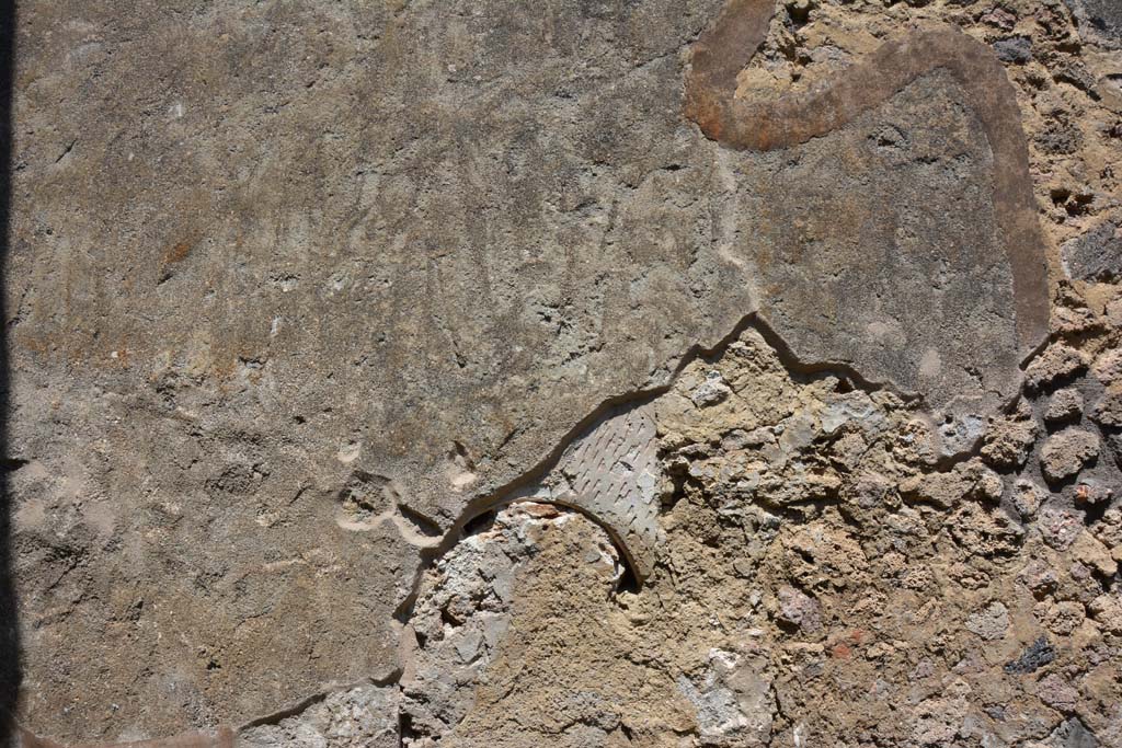 IX.5.2 Pompeii. May 2017. Room ‘q’, looking towards north wall.
Foto Christian Beck, ERC Grant 681269 DÉCOR.