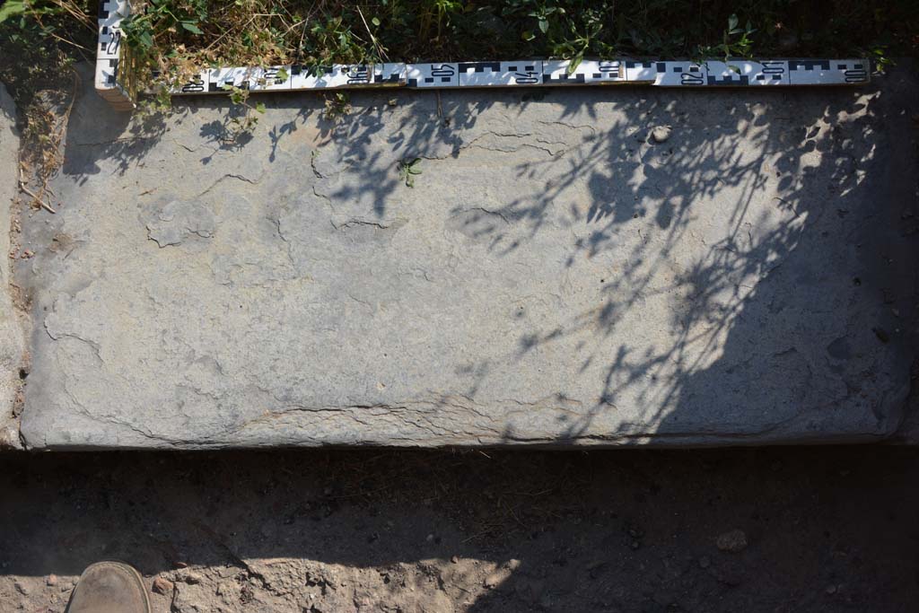 IX.5.2 Pompeii. May 2017. Room ‘c’, detail of doorway threshold, looking west from above.
Foto Christian Beck, ERC Grant 681269 DÉCOR
