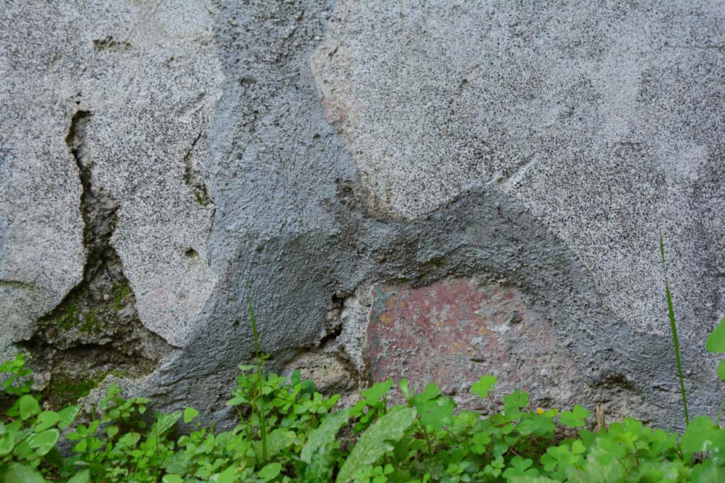 IX.5.2 Pompeii. March 2017. Room ‘i’, detail from lower east wall.
Foto Christian Beck, ERC Grant 681269 DÉCOR.