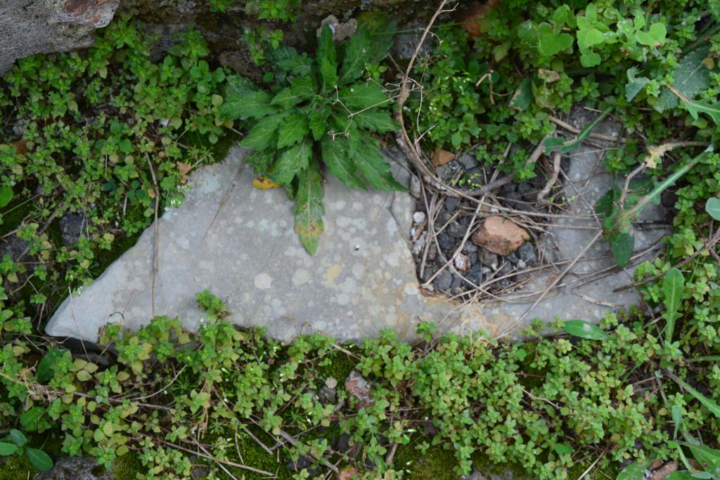 IX.5.2 Pompeii. March 2017. Room ‘i’, detail of doorway threshold at west end, with hole for doorpost.
Foto Christian Beck, ERC Grant 681269 DÉCOR.