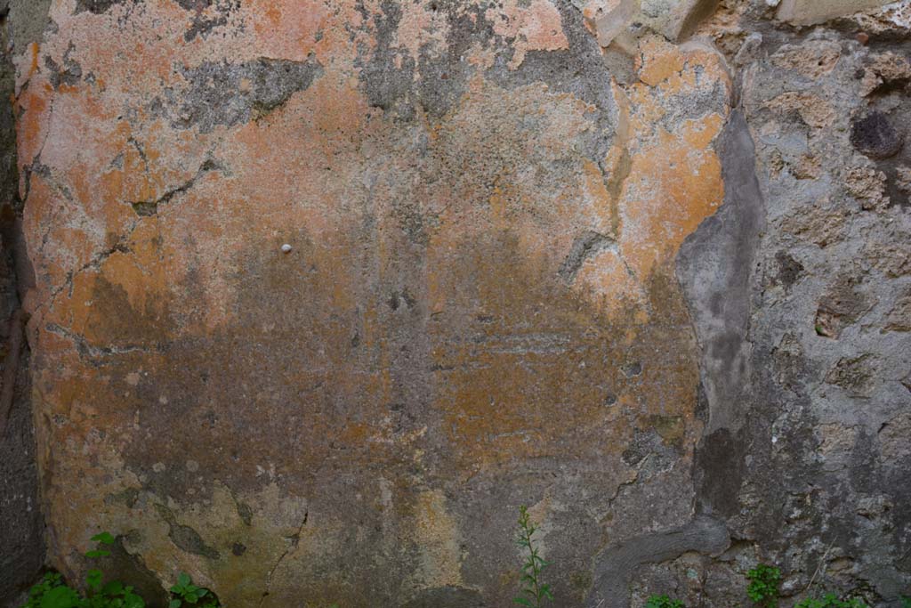IX.5.2 Pompeii. March 2017. Room ‘g’, lower centre of south wall.
Foto Christian Beck, ERC Grant 681269 DÉCOR.
