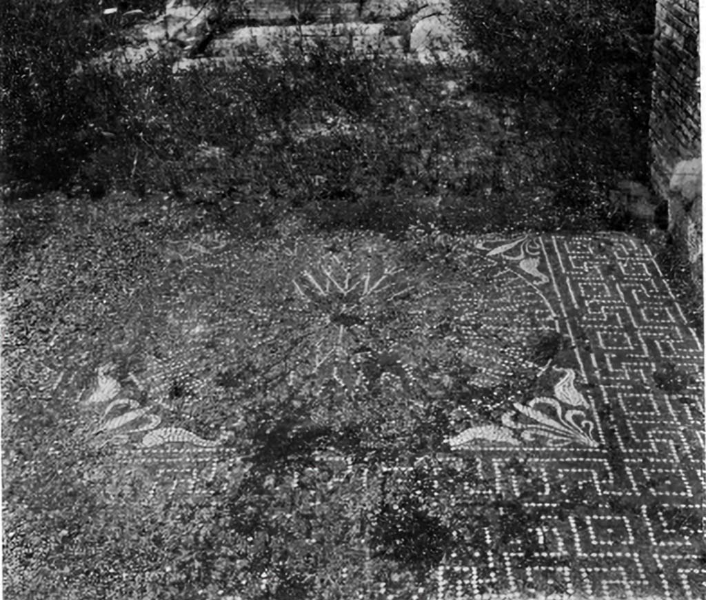 IX.5.2 Pompeii. c.1930. Looking north across central emblema in tablinum.
According to Blake –
Similar (to VII.6.28) is the pavement of the tablinum of IX.V.2, both in the grade of cement and in the pattern.
To the floral design at each corner dolphins are added, and, instead of reticulate, the imbrication pattern decorates the threshold.
Since a type of brick wall not known at Pompeii until the early Empire rests upon the cement, this pavement is relatively early.
See Blake, M., (1930). The pavements of the Roman Buildings of the Republic and Early Empire. Rome, MAAR, 8, (p.26, Pl.3, tav.1).