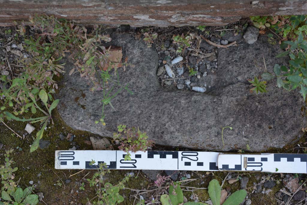 IX.5.2 Pompeii. May 2017. Room ‘k’, detail from doorway on west side of tablinum.
Foto Christian Beck, ERC Grant 681269 DÉCOR.