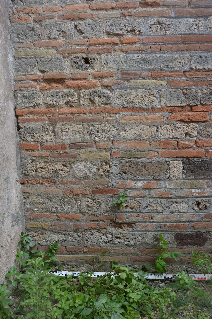 IX.5.2 Pompeii. May 2017. Room ‘d’, detail of south wall in south-east corner
Foto Christian Beck, ERC Grant 681269 DÉCOR.