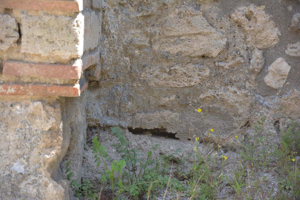 IX.5.3 Pompeii. May 2017. Detail from east wall in north-east corner.
Foto Christian Beck, ERC Grant 681269 DÉCOR.