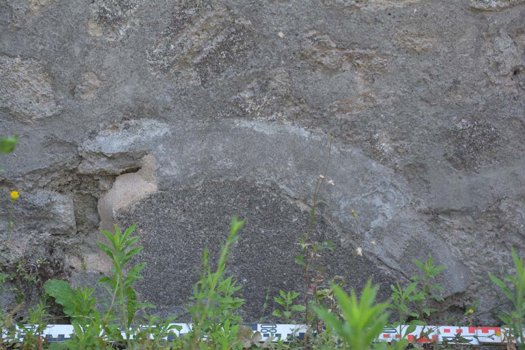 IX.5.3 Pompeii. May 2017. Detail from lower centre of south wall.
Foto Christian Beck, ERC Grant 681269 DÉCOR.