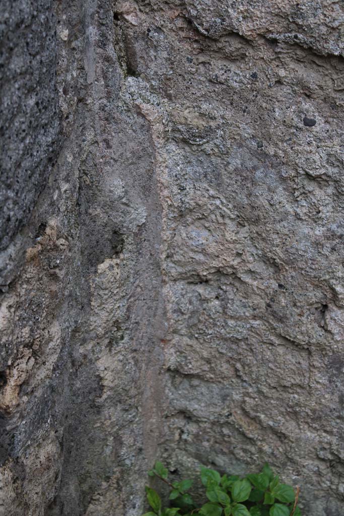 IX.5.4 Pompeii. March 2019. Room d, lower south-east corner.
Foto Christian Beck, ERC Grant 681269 DÉCOR.