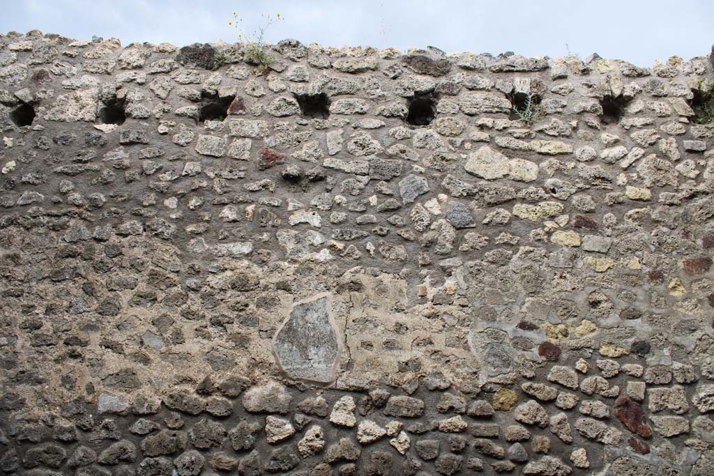 IX.5.4 Pompeii. March 2019. Room d, upper west wall.
Foto Christian Beck, ERC Grant 681269 DÉCOR.