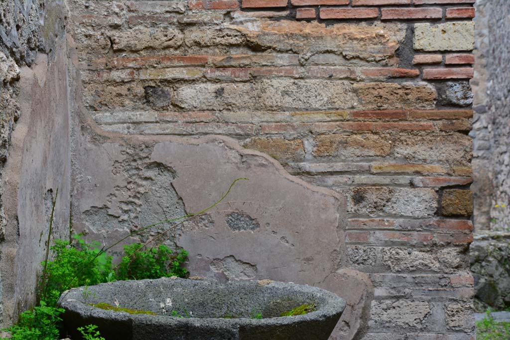 IX.5.4 Pompeii. March 2017. Room d, north wall in north-west corner.
Foto Christian Beck, ERC Grant 681269 DÉCOR.