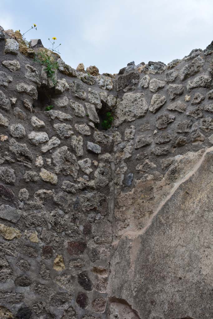 IX.5.4 Pompeii. March 2017. Room d, detail from upper north-west corner.
Foto Christian Beck, ERC Grant 681269 DÉCOR.