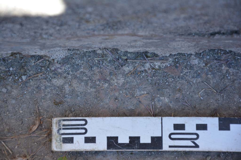 IX.5.6 Pompeii. May 2017. Room n, detail from west (left) side of doorway/upper step.
Foto Christian Beck, ERC Grant 681269 DÉCOR.