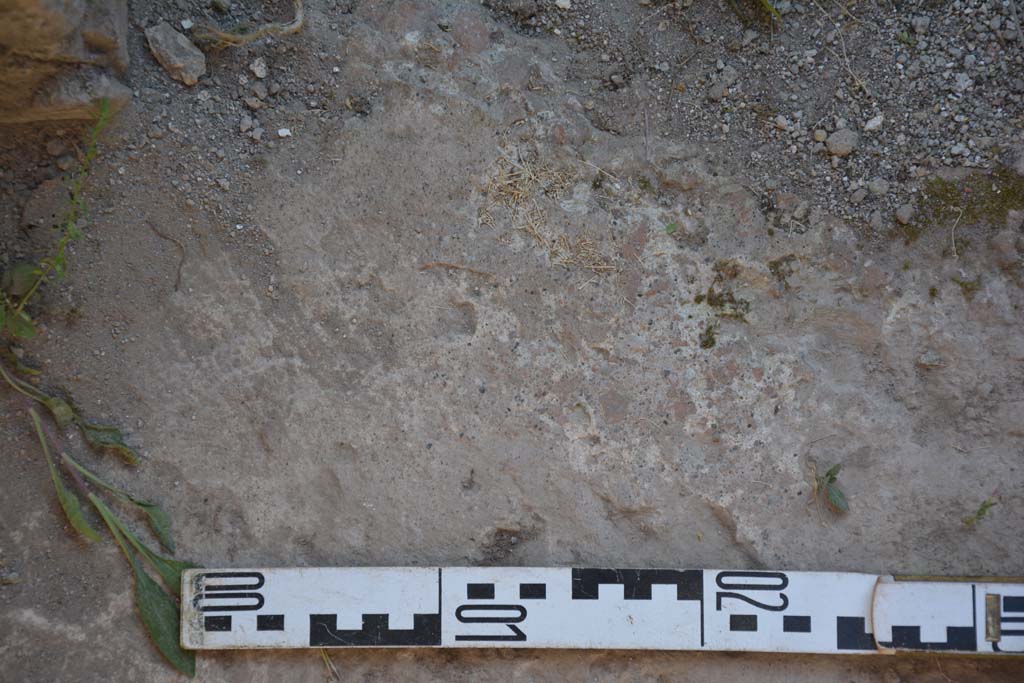 IX.5.6 Pompeii. May 2017. Room p, flooring in kitchen.
Foto Christian Beck, ERC Grant 681269 DÉCOR.