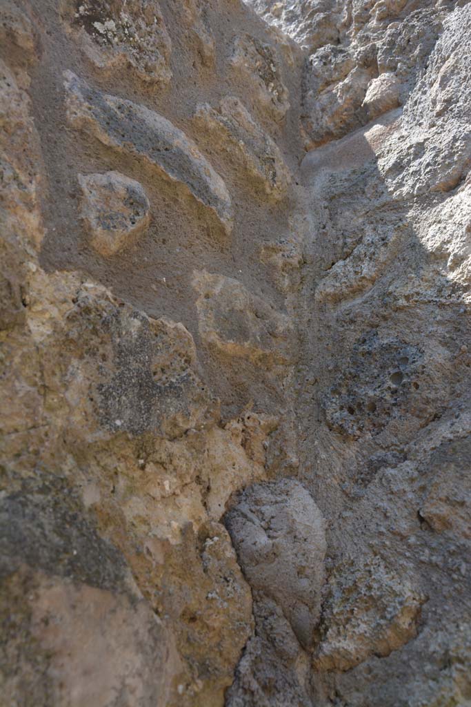 IX.5.6 Pompeii. May 2017. Room t, upper south-west corner.
Foto Christian Beck, ERC Grant 681269 DÉCOR.