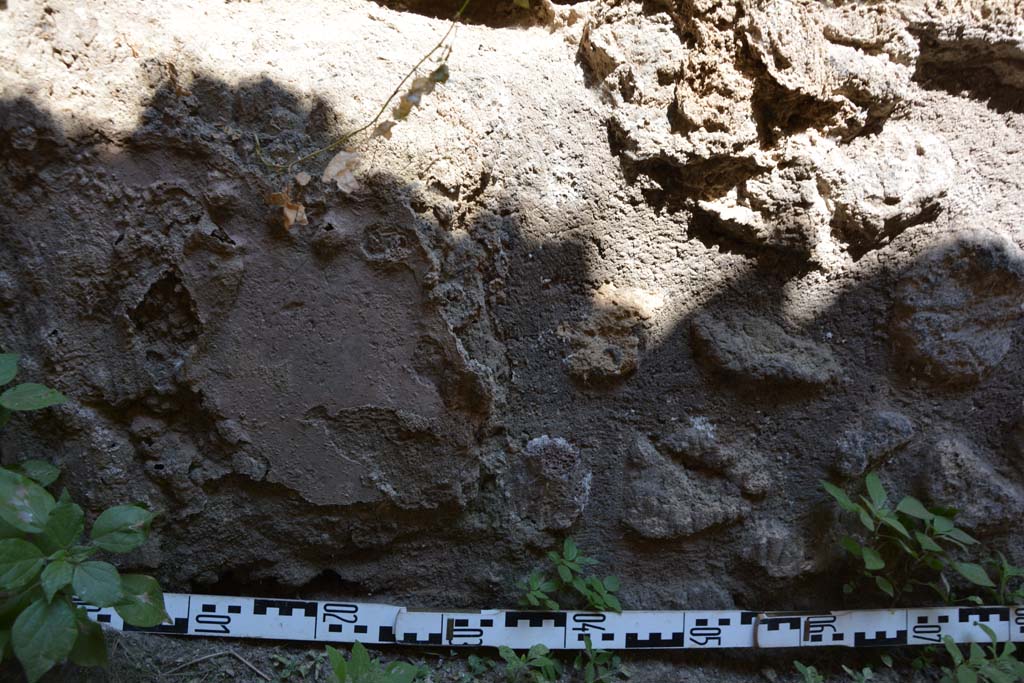 IX.5.6 Pompeii. May 2017. Room t, lower north wall at west end.
Foto Christian Beck, ERC Grant 681269 DÉCOR.