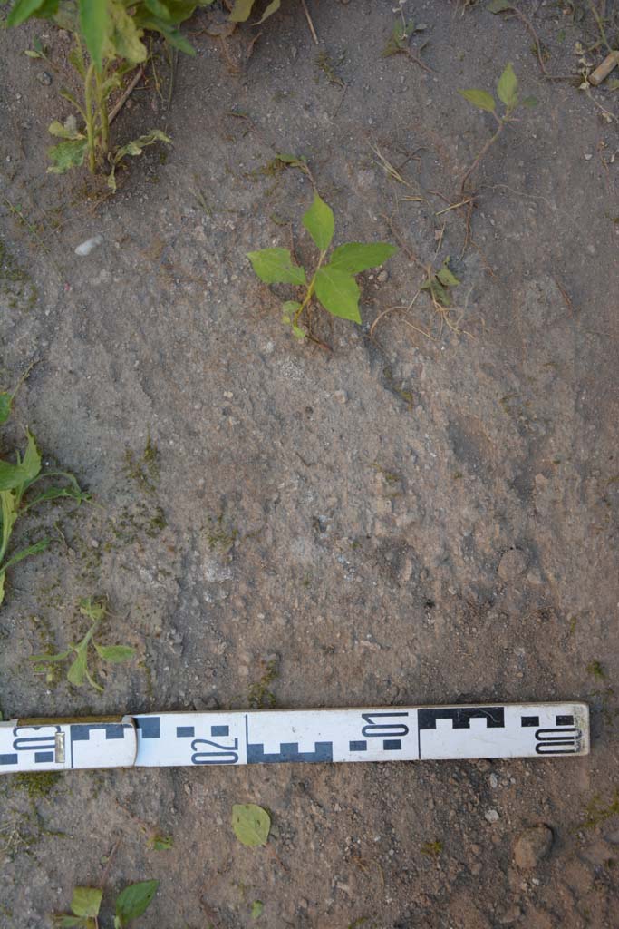 IX.5.6 Pompeii. May 2017. Room s, flooring.
Foto Christian Beck, ERC Grant 681269 DÉCOR.