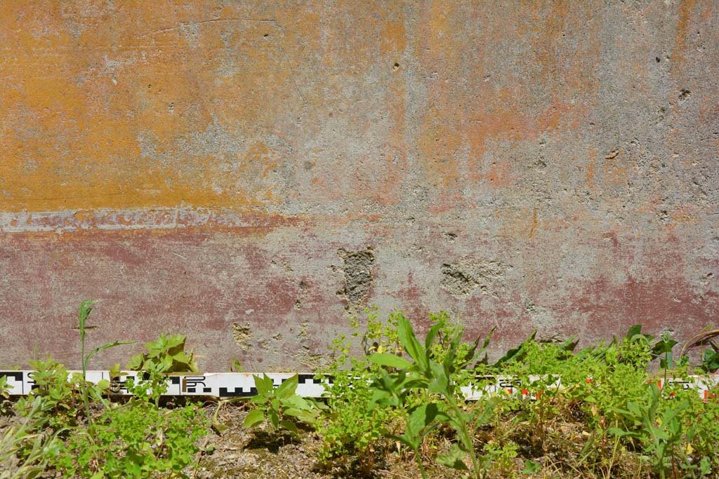 IX.5.6 Pompeii. May 2017. Room s, detail from lower north wall.
Foto Christian Beck, ERC Grant 681269 DÉCOR.