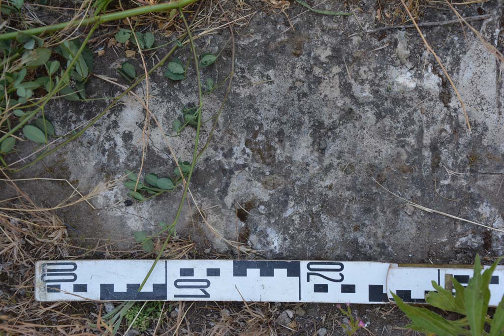 IX.5.6 Pompeii. May 2017. Room u, flooring.
Foto Christian Beck, ERC Grant 681269 DÉCOR.