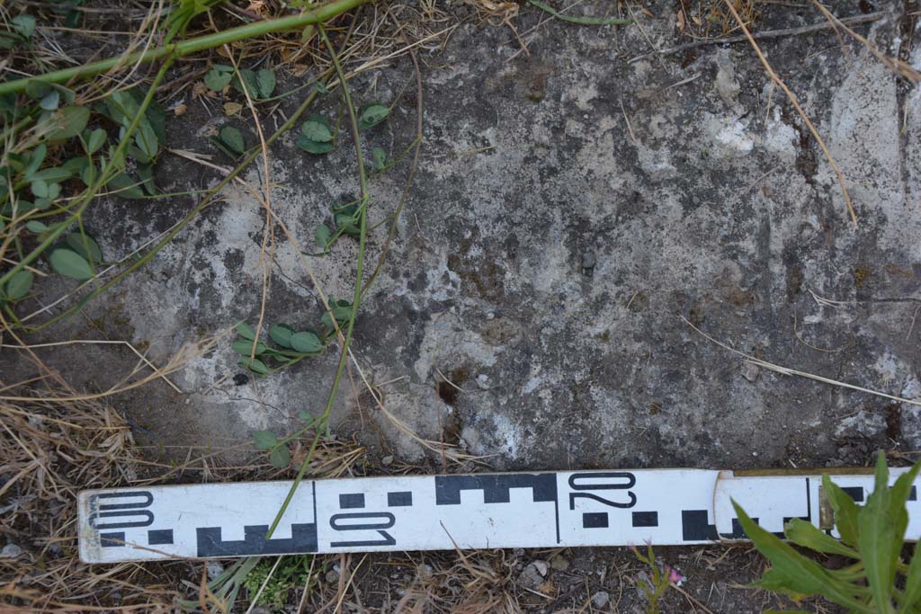IX.5.6 Pompeii. May 2017. Room u, detail of flooring.
Foto Christian Beck, ERC Grant 681269 DÉCOR.