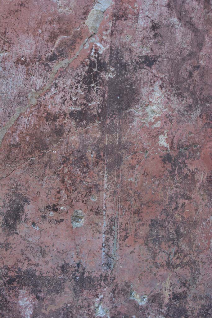 IX.5.6 Pompeii. May 2017.
West ala d, south wall at east end, detail of carpet border edging of panel.
Foto Christian Beck, ERC Grant 681269 DÉCOR.