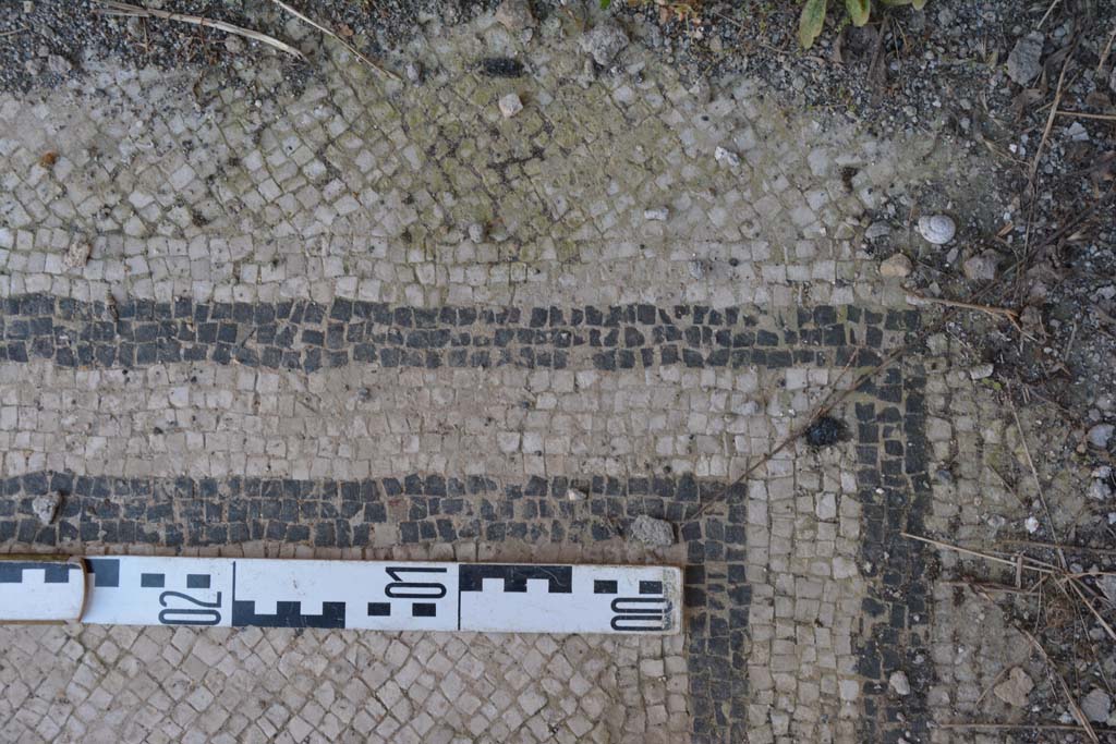 IX.5.6 Pompeii. May 2017. West ala d, flooring at corner of room.
Foto Christian Beck, ERC Grant 681269 DÉCOR.