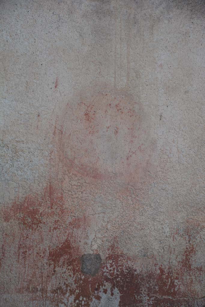 IX.5.6 Pompeii. May 2017. West ala d, detail of medallion from west wall at south end.
Foto Christian Beck, ERC Grant 681269 DÉCOR.