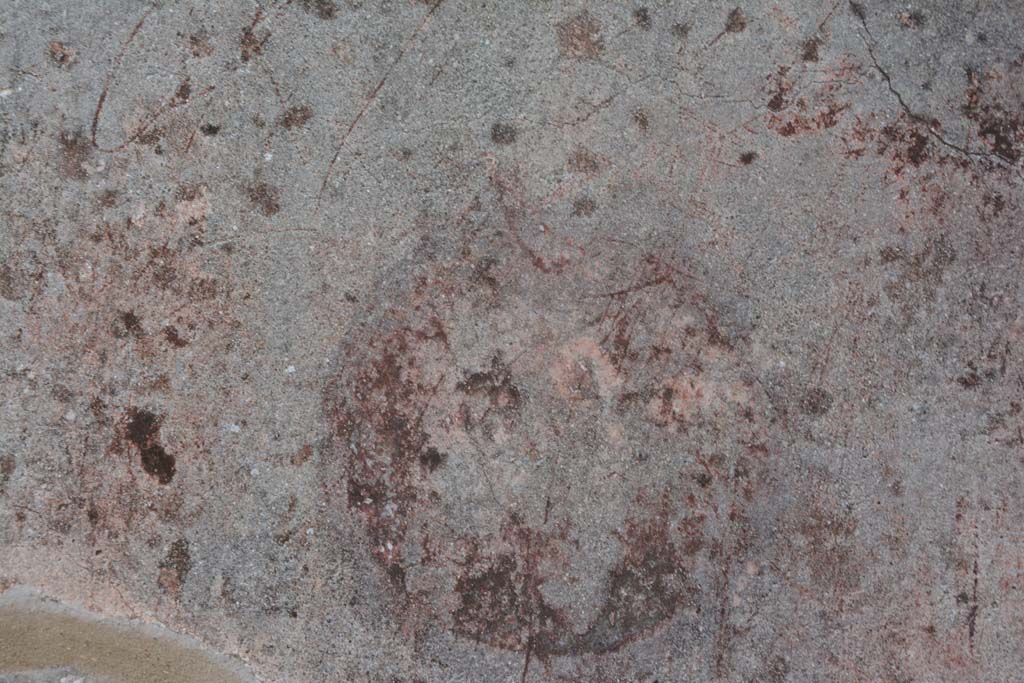 IX.5.6 Pompeii. May 2017. West ala d, west wall at north end, detail of medallion.
Foto Christian Beck, ERC Grant 681269 DÉCOR.