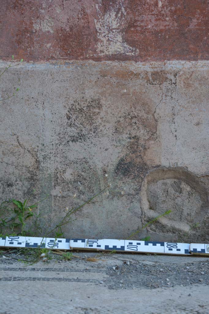 IX.5.6 Pompeii. May 2017. West ala d, north wall, zoccolo with remains of painted plants.
Foto Christian Beck, ERC Grant 681269 DÉCOR.