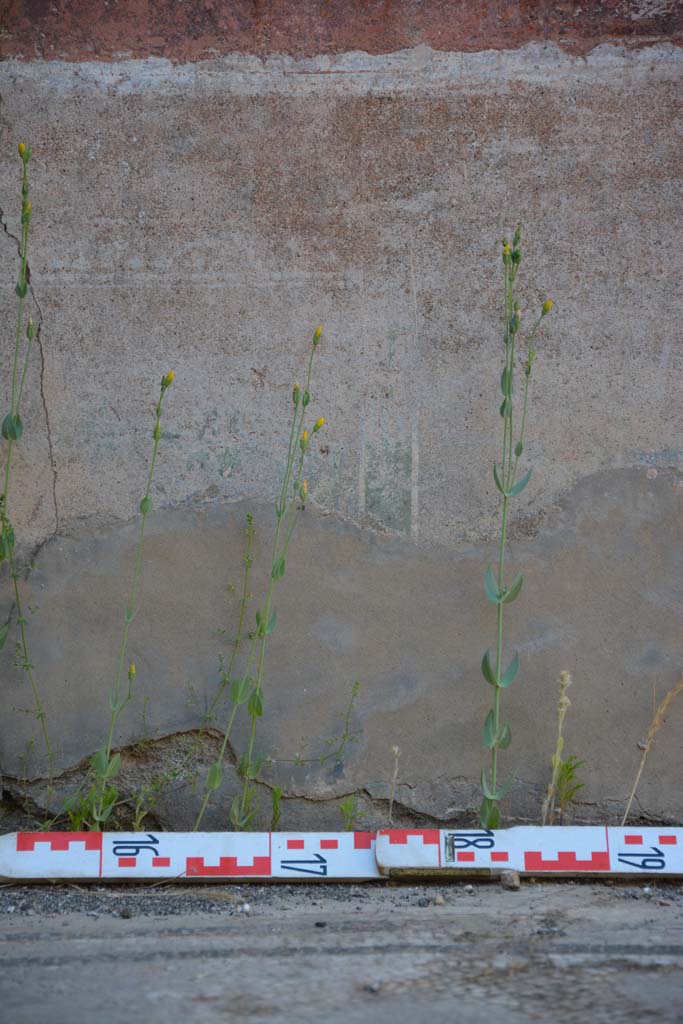 IX.5.6 Pompeii. May 2017. West ala d, detail of zoccolo on north wall.
Foto Christian Beck, ERC Grant 681269 DÉCOR.