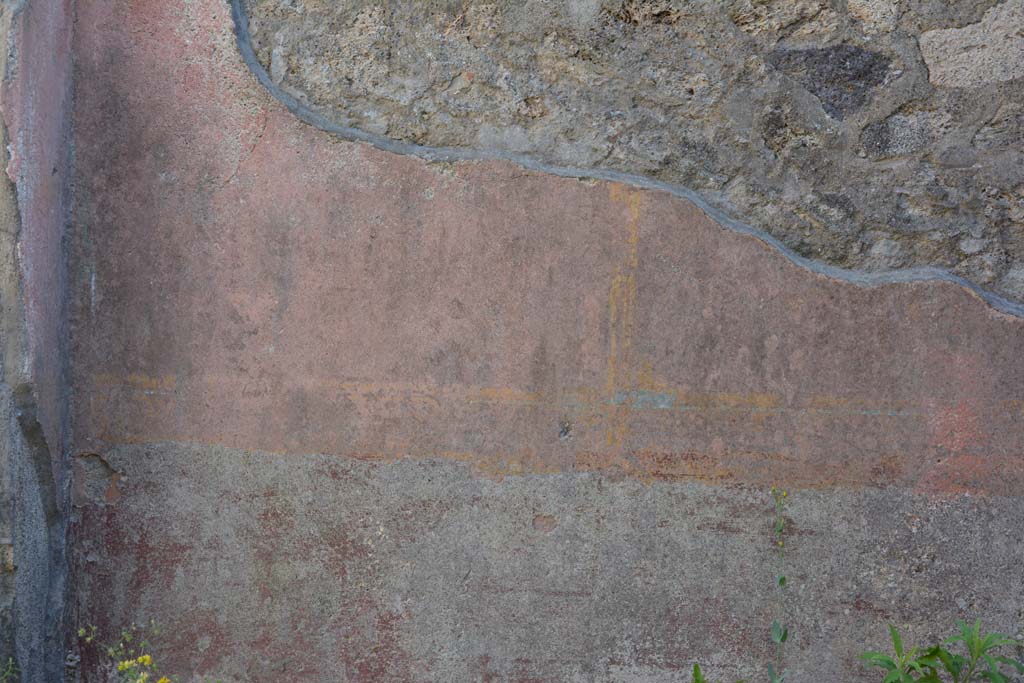 IX.5.6 Pompeii. May 2017. Room f, detail from zoccolo in south-west corner.
Foto Christian Beck, ERC Grant 681269 DÉCOR.