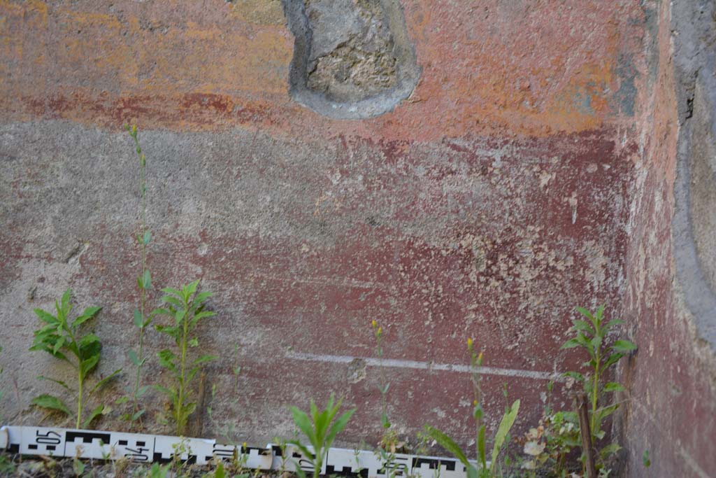 IX.5.6 Pompeii. May 2017. Room f, detail of zoccolo on west wall in north-west corner.
Foto Christian Beck, ERC Grant 681269 DÉCOR.