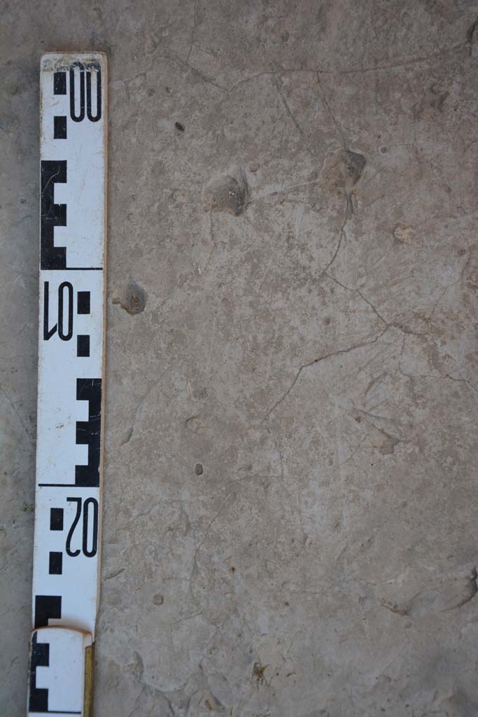 IX.5.6 Pompeii. May 2017. Room f, detail from flooring in north-east corner.
Foto Christian Beck, ERC Grant 681269 DÉCOR.