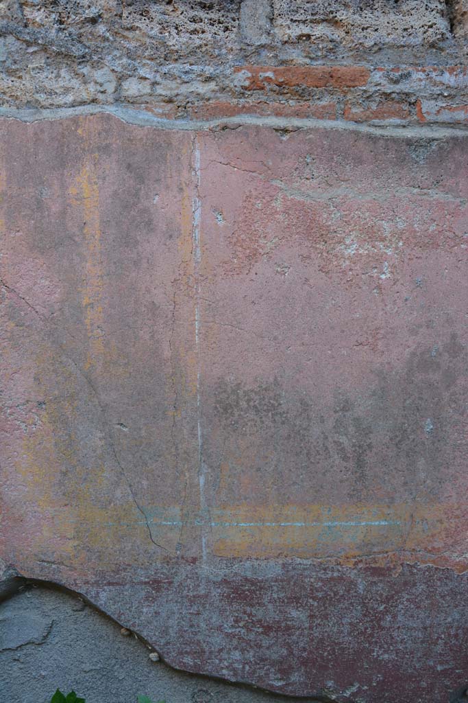 IX.5.6 Pompeii. May 2017. Room f, detail of painted decoration from south wall.
Foto Christian Beck, ERC Grant 681269 DÉCOR.