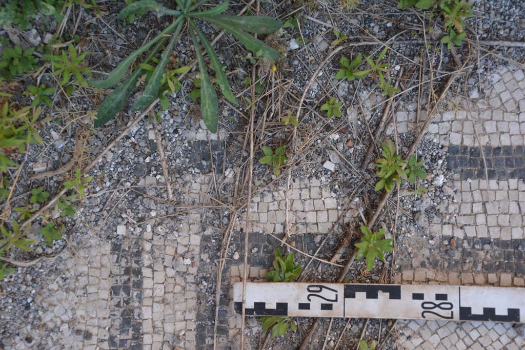 IX.5.6 Pompeii. May 2017. East ala e, detail of flooring, two black bands and white mosaic.
Foto Christian Beck, ERC Grant 681269 DÉCOR.